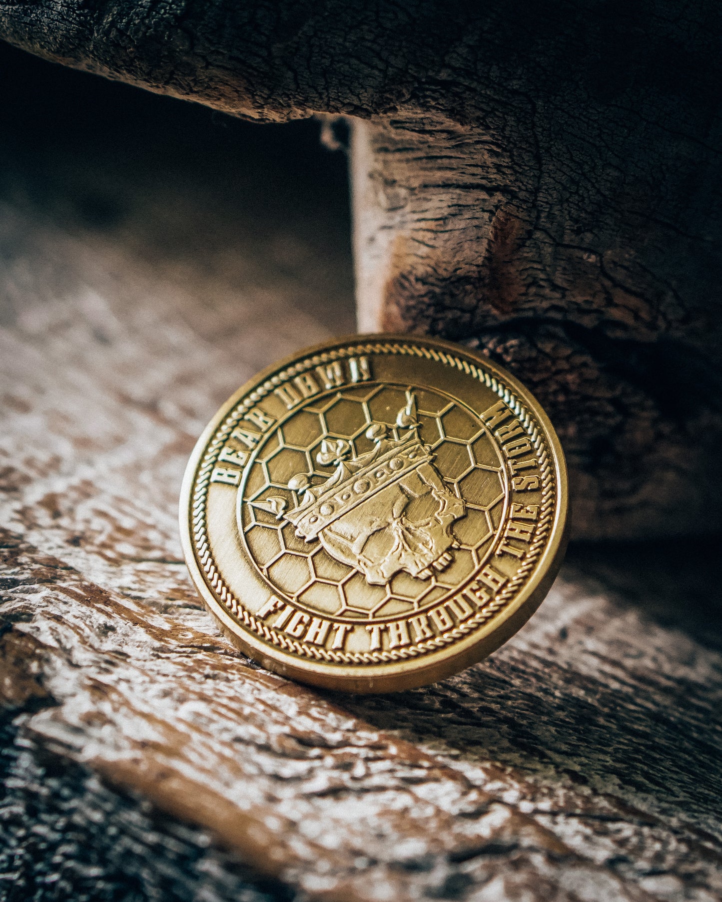 Hold Fast Reminder EDC Coin