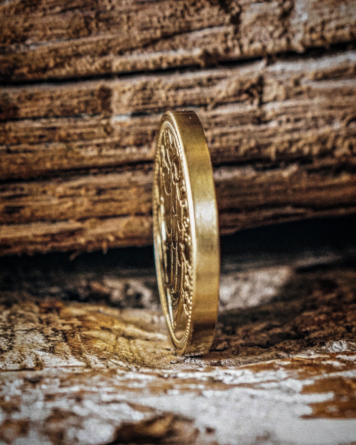 Hold Fast Reminder EDC Coin